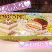 ヒメ日記 2025/04/25 16:49 投稿 冬子 桃李（とうり）