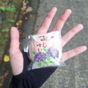 ヒメ日記 2025/08/15 05:04 投稿 冬子 桃李（とうり）