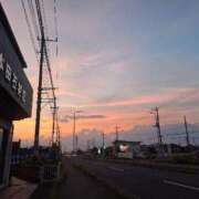 ヒメ日記 2025/08/19 07:34 投稿 冬子 桃李（とうり）