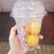 ヒメ日記 2025/08/22 05:04 投稿 冬子 桃李（とうり）