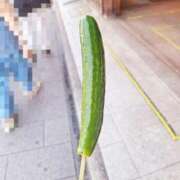 ヒメ日記 2025/08/30 04:56 投稿 冬子 桃李（とうり）