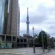 ヒメ日記 2025/09/19 04:34 投稿 冬子 桃李（とうり）