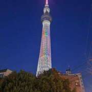 ヒメ日記 2025/09/26 04:34 投稿 冬子 桃李（とうり）