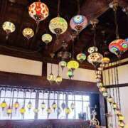 ヒメ日記 2025/11/06 08:39 投稿 冬子 桃李（とうり）