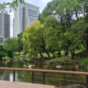 ヒメ日記 2025/11/22 04:54 投稿 冬子 桃李（とうり）