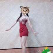 ヒメ日記 2025/11/26 06:34 投稿 冬子 桃李（とうり）