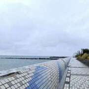 ヒメ日記 2025/12/08 04:46 投稿 冬子 桃李（とうり）