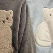 ヒメ日記 2025/12/12 11:41 投稿 あさひ X-PARTY