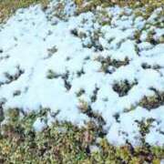 ヒメ日記 2026/01/03 12:21 投稿 あさひ X-PARTY