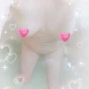 甲斐 ようこ 誰か拾ってฅ^•ω•^ฅ エテルナ京都