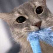 ヒメ日記 2026/03/28 18:57 投稿 天宮すず スピードエコ天王寺店