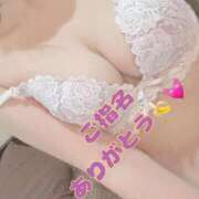 ヒメ日記 2025/10/20 23:15 投稿 ういか ゴールドフィンガー