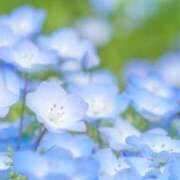 ヒメ日記 2025/02/12 00:06 投稿 渡辺はるか 禁断のメンズエステR-18堺・南大阪店