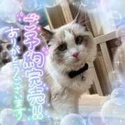 ヒメ日記 2024/12/18 14:29 投稿 ☆かほ☆ Newビビアン＆ガールズコレクション