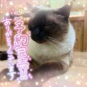 ヒメ日記 2025/01/10 16:59 投稿 ☆かほ☆ Newビビアン＆ガールズコレクション