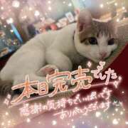 ヒメ日記 2025/01/14 22:39 投稿 ☆かほ☆ Newビビアン＆ガールズコレクション