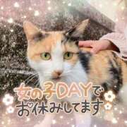 ヒメ日記 2025/01/16 08:39 投稿 ☆かほ☆ Newビビアン＆ガールズコレクション