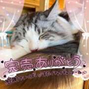 ヒメ日記 2025/01/24 18:19 投稿 ☆かほ☆ Newビビアン＆ガールズコレクション