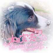 ヒメ日記 2025/01/26 09:24 投稿 ☆かほ☆ Newビビアン＆ガールズコレクション