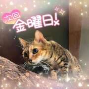 ヒメ日記 2025/01/29 17:29 投稿 ☆かほ☆ Newビビアン＆ガールズコレクション