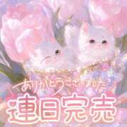 ヒメ日記 2025/03/12 13:59 投稿 ☆かほ☆ Newビビアン＆ガールズコレクション