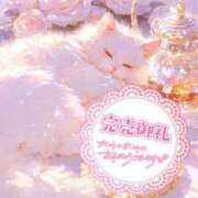 ヒメ日記 2025/03/18 12:19 投稿 ☆かほ☆ Newビビアン＆ガールズコレクション