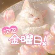 ヒメ日記 2025/03/19 17:11 投稿 ☆かほ☆ Newビビアン＆ガールズコレクション