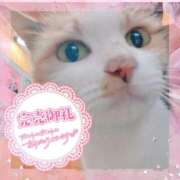 ヒメ日記 2025/05/07 14:49 投稿 ☆かほ☆ Newビビアン＆ガールズコレクション