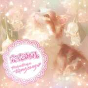 ヒメ日記 2025/05/26 16:49 投稿 ☆かほ☆ Newビビアン＆ガールズコレクション