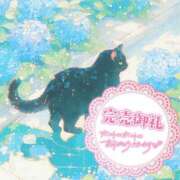 ヒメ日記 2025/06/04 14:19 投稿 ☆かほ☆ Newビビアン＆ガールズコレクション