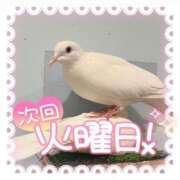 ヒメ日記 2025/06/22 14:49 投稿 ☆かほ☆ Newビビアン＆ガールズコレクション