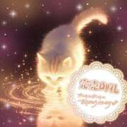 ヒメ日記 2025/07/25 12:21 投稿 ☆かほ☆ Newビビアン＆ガールズコレクション