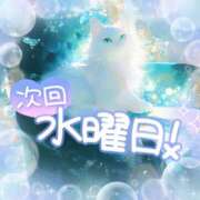 ヒメ日記 2025/08/01 17:50 投稿 ☆かほ☆ Newビビアン＆ガールズコレクション