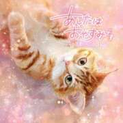 ヒメ日記 2026/01/05 09:30 投稿 ☆かほ☆ Newビビアン＆ガールズコレクション