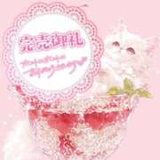 ☆かほ☆ 💖本日完売💖 Newビビアン＆ガールズコレクション