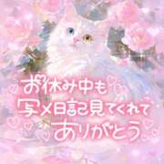 ヒメ日記 2026/01/29 12:50 投稿 ☆かほ☆ Newビビアン＆ガールズコレクション