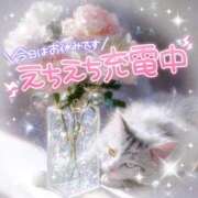 ヒメ日記 2026/01/31 22:10 投稿 ☆かほ☆ Newビビアン＆ガールズコレクション