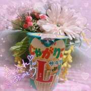 ヒメ日記 2026/02/18 10:20 投稿 ☆かほ☆ Newビビアン＆ガールズコレクション