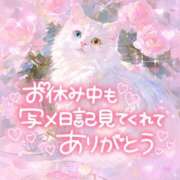 ヒメ日記 2026/02/22 19:00 投稿 ☆かほ☆ Newビビアン＆ガールズコレクション