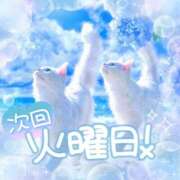 ヒメ日記 2026/03/15 21:00 投稿 ☆かほ☆ Newビビアン＆ガールズコレクション