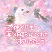 ヒメ日記 2026/03/22 22:40 投稿 ☆かほ☆ Newビビアン＆ガールズコレクション