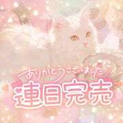☆かほ☆ 💖連日完売💖 Newビビアン＆ガールズコレクション