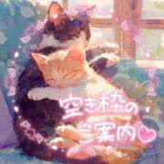 ヒメ日記 2026/07/09 13:20 投稿 ☆かほ☆ Newビビアン＆ガールズコレクション