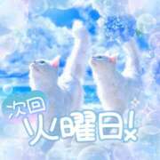 ヒメ日記 2026/07/12 20:01 投稿 ☆かほ☆ Newビビアン＆ガールズコレクション