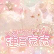 ヒメ日記 2026/08/12 09:20 投稿 ☆かほ☆ Newビビアン＆ガールズコレクション
