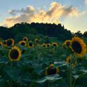 ヒメ日記 2025/08/05 19:00 投稿 ♡こなん♡ Newビビアン＆ガールズコレクション