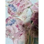 ヒメ日記 2025/11/15 21:40 投稿 ♡こなん♡ Newビビアン＆ガールズコレクション