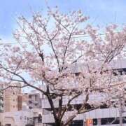 ヒメ日記 2026/04/05 05:20 投稿 ♡こなん♡ Newビビアン＆ガールズコレクション