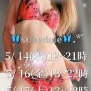 ヒメ日記 2025/05/14 09:11 投稿 涼晴りょう マダムと紳士