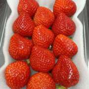 ヒメ日記 2026/02/26 21:01 投稿 涼晴りょう マダムと紳士